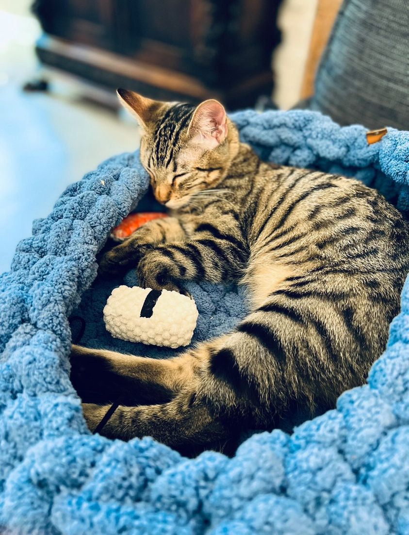 Circular Pet Beds