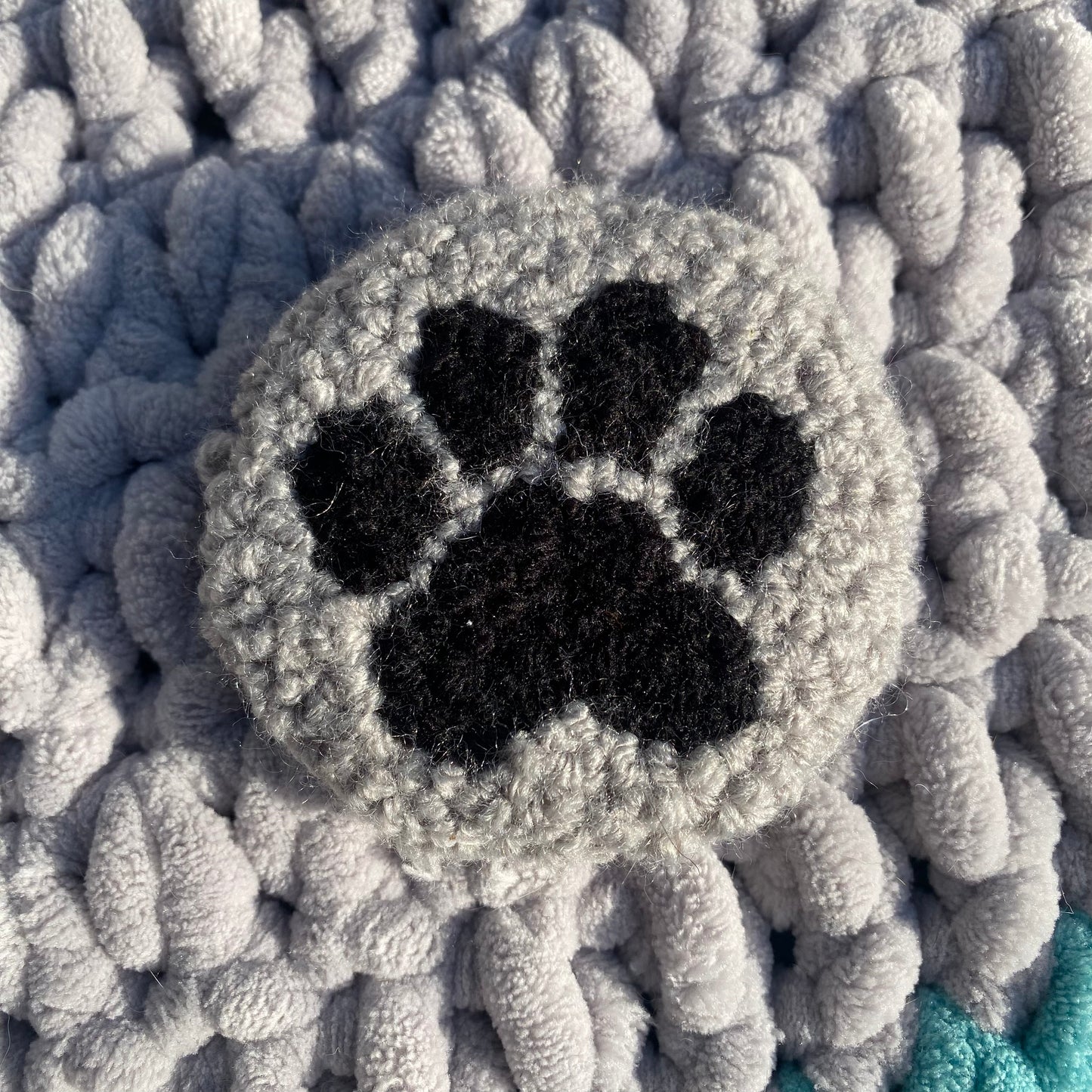 Paw Print Mug Rug Car Coaster