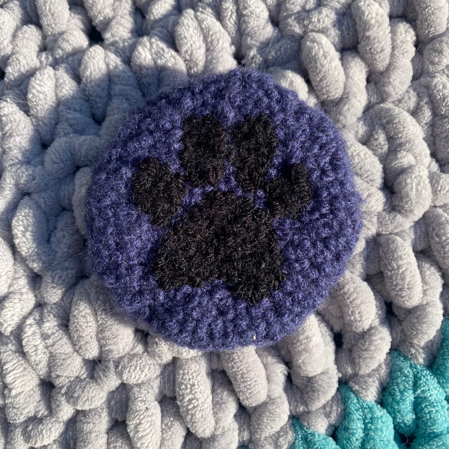 Paw Print Mug Rug Car Coaster