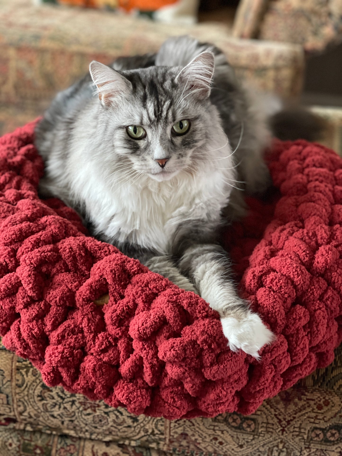 Cranberry/Burgundy Circular Pet Bed