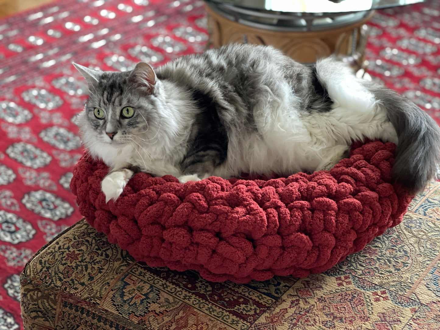 Cranberry/Burgundy Circular Pet Bed